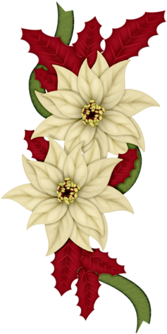 Christmas Poinsettia Decoration Image