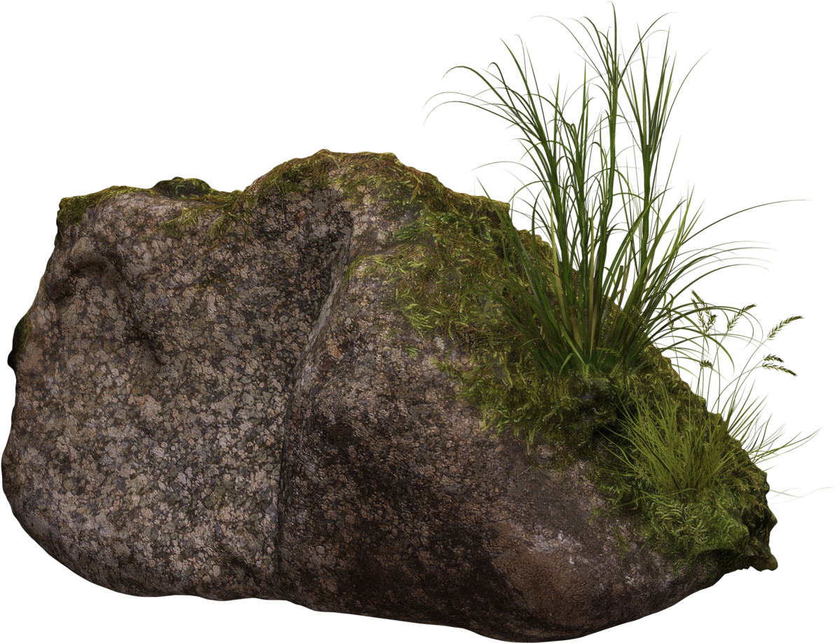 Mossy Rockwith Grass Clump Image