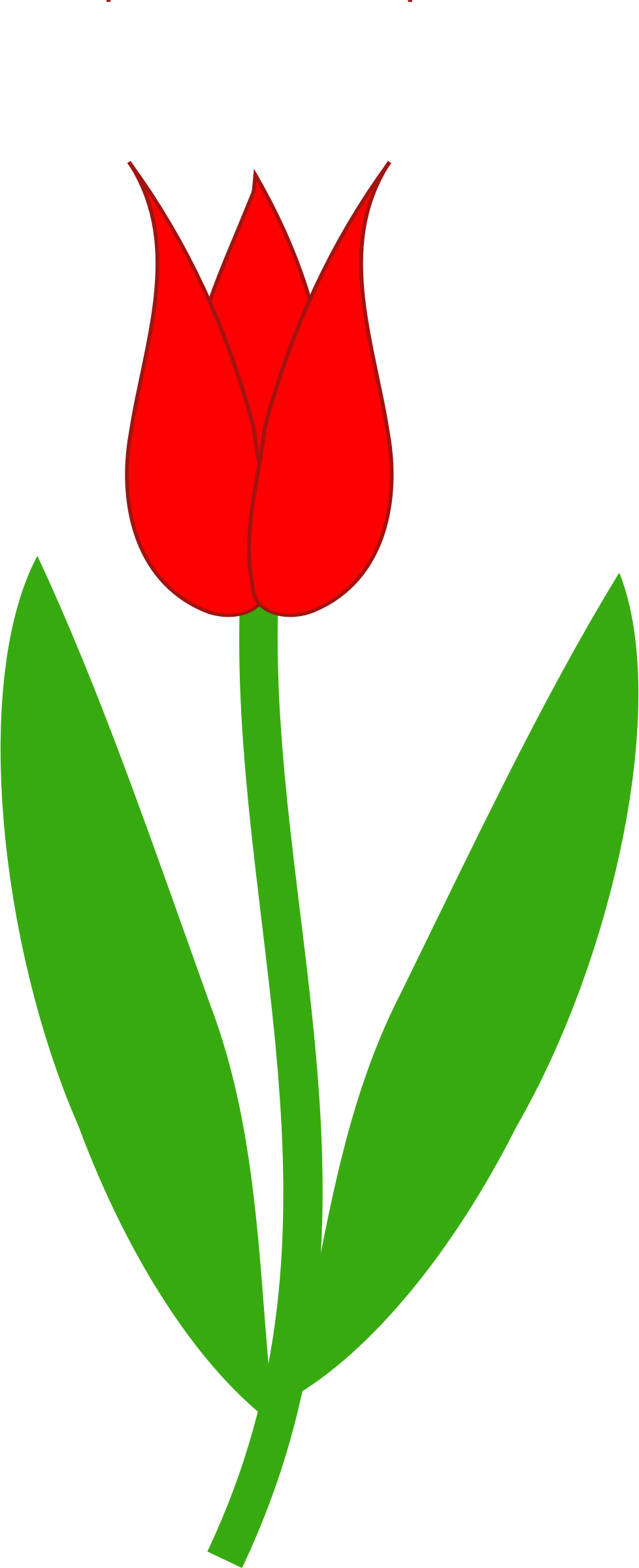 Red Tulip Simple Illustration Image